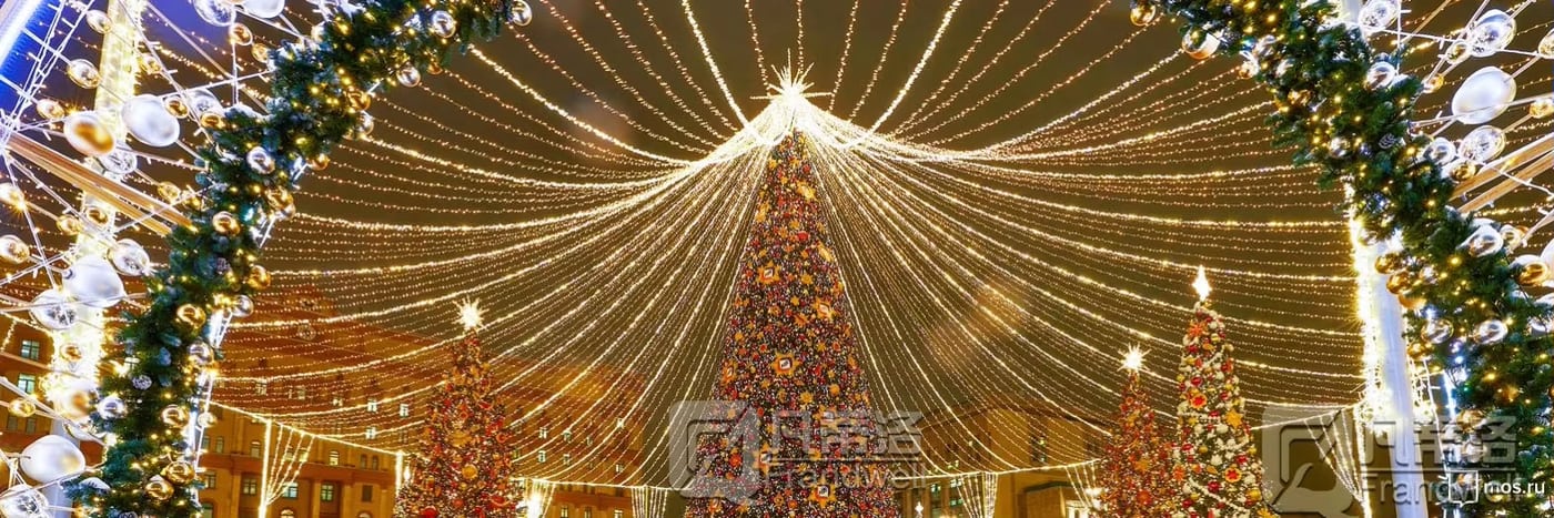 Light-Up Wreath & Garland Collection · image reference 34