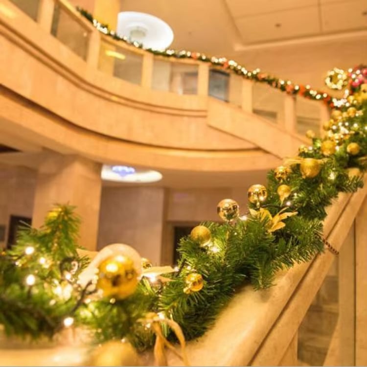 Light-Up Wreath & Garland Collection · image reference 15